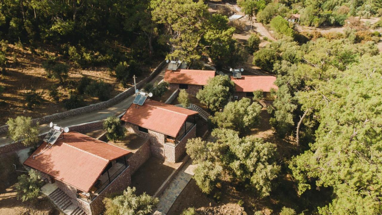 Candir Resort Restaurant 穆拉 外观 照片