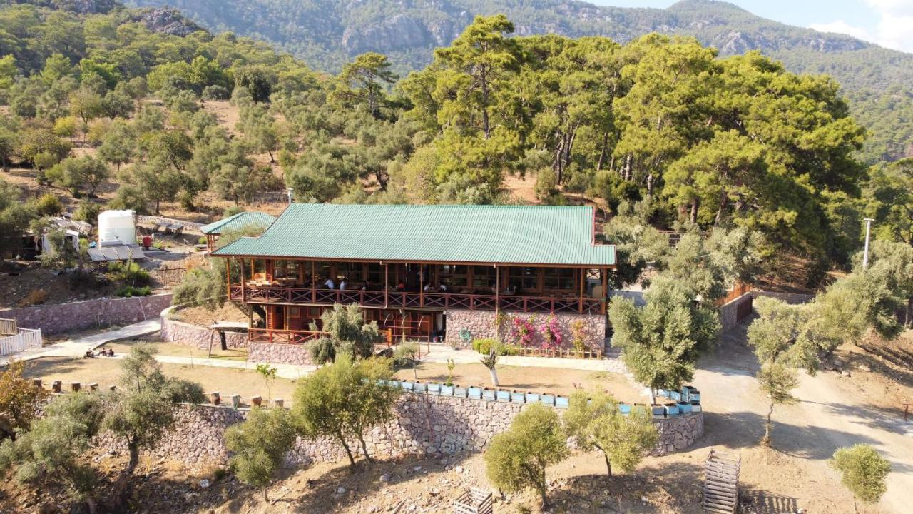 Candir Resort Restaurant 穆拉 外观 照片