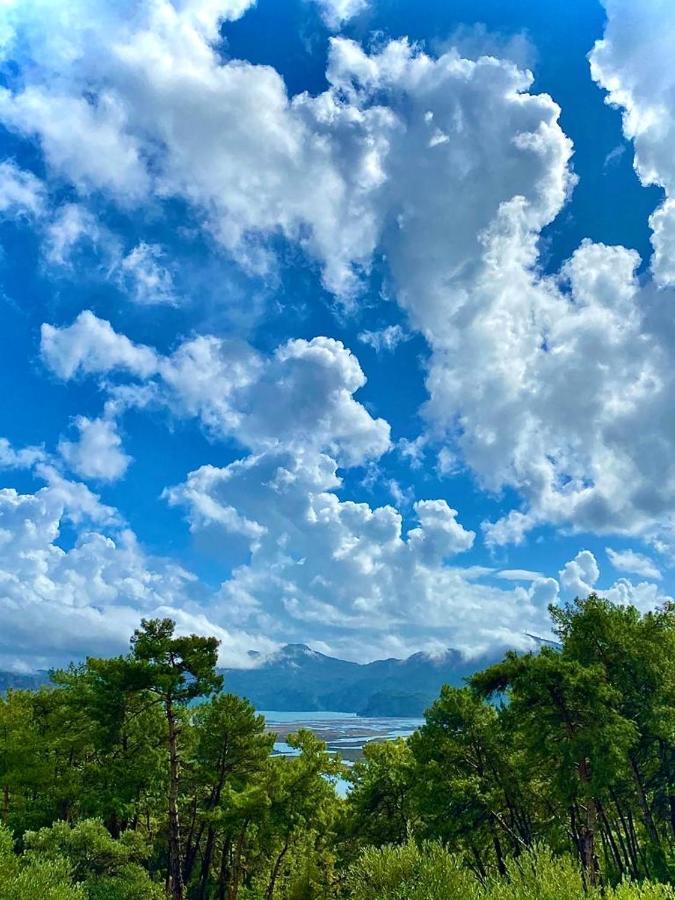 Candir Resort Restaurant 穆拉 外观 照片